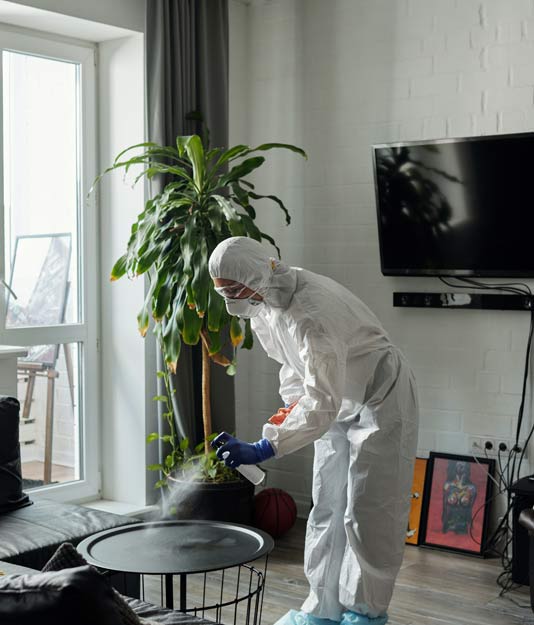 Deep Cleaning in Gurgaon